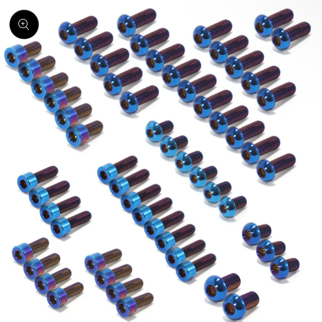 Ultra bee titanium bolts