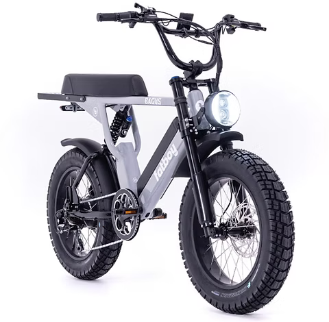 Fatboy Bagus Titanium bolt kit